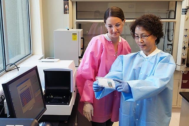 Test Uses Novel Antibodies to Detect Shiga Toxins