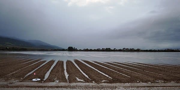 Farmers Monitor Storms’ Impact On Crops, Water Supplies