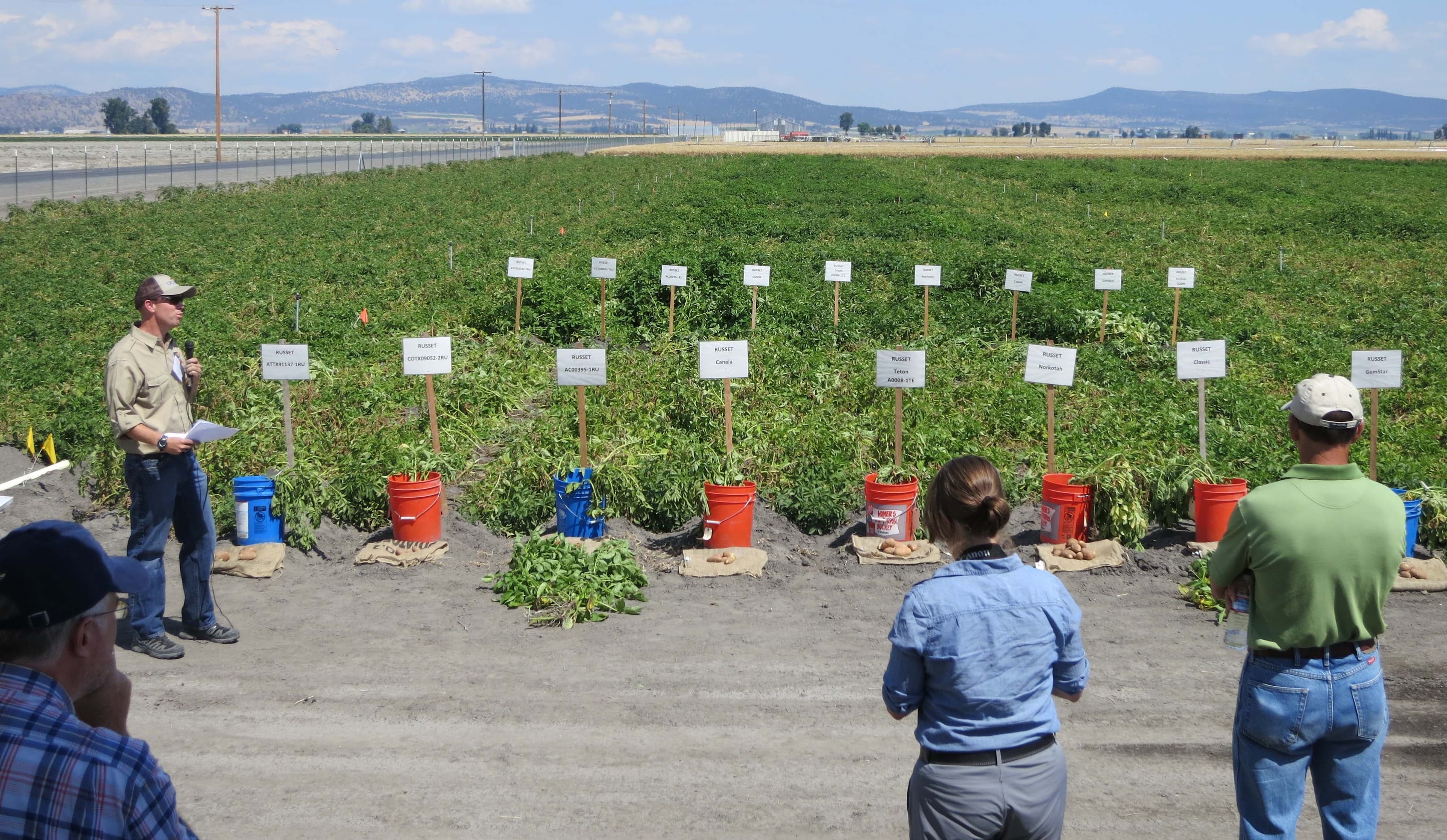 Three agriculture scholarships offered by UC ANR