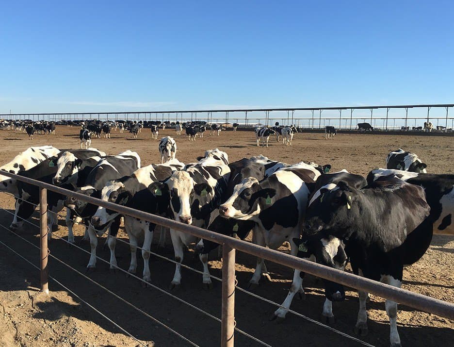 Kickoff meeting of Dairy and Livestock GHG Working Group – May 23