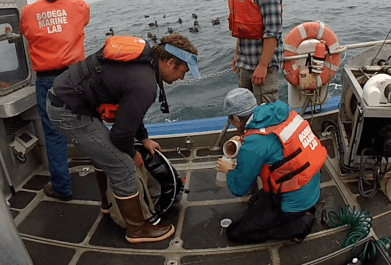 Tiny Shells Indicate Big Changes to Global Carbon Cycle