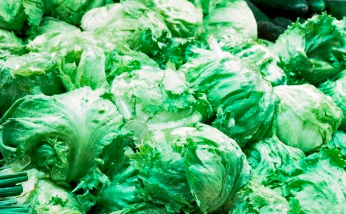 Broccoli And Lettuce Cost Studies Released By Agricultural Issues Center