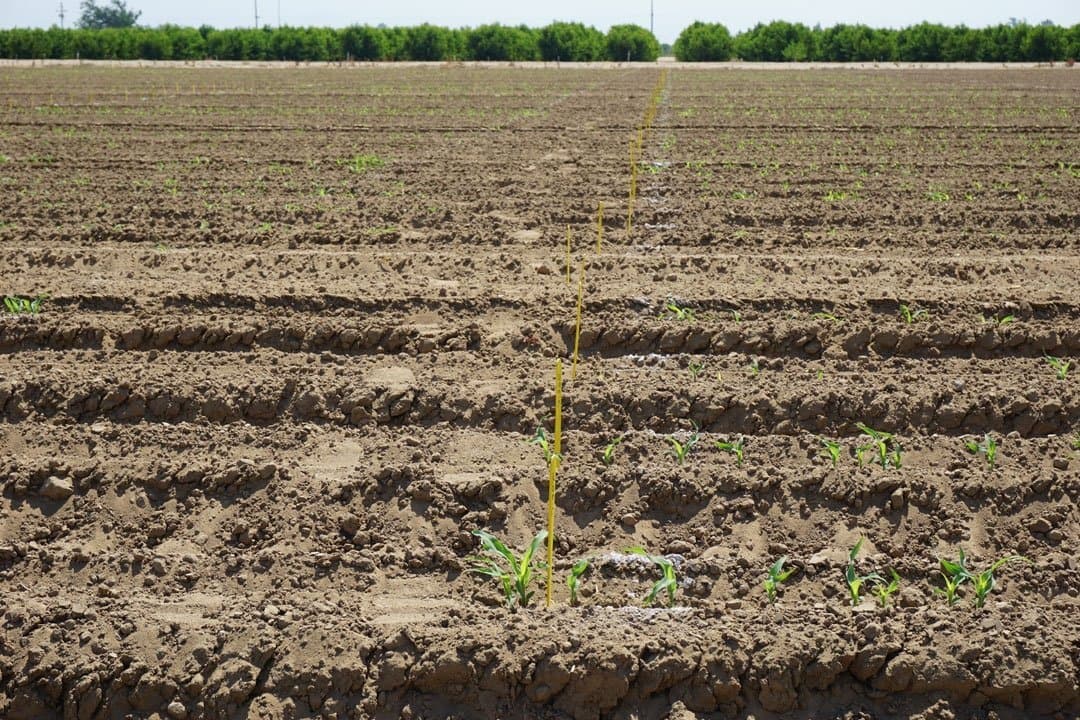 Future Water Leaders Soak Up Irrigation Information