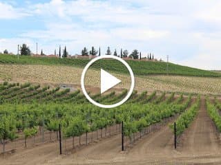 2017 CA Winegrape Crop Update with Allied Grape Growers
