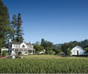 Robert Young Estate Vineyard and Winery:  159 Years