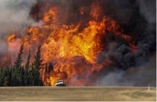 Wildfire Recovery Resources Listed on CDFA Web Page
