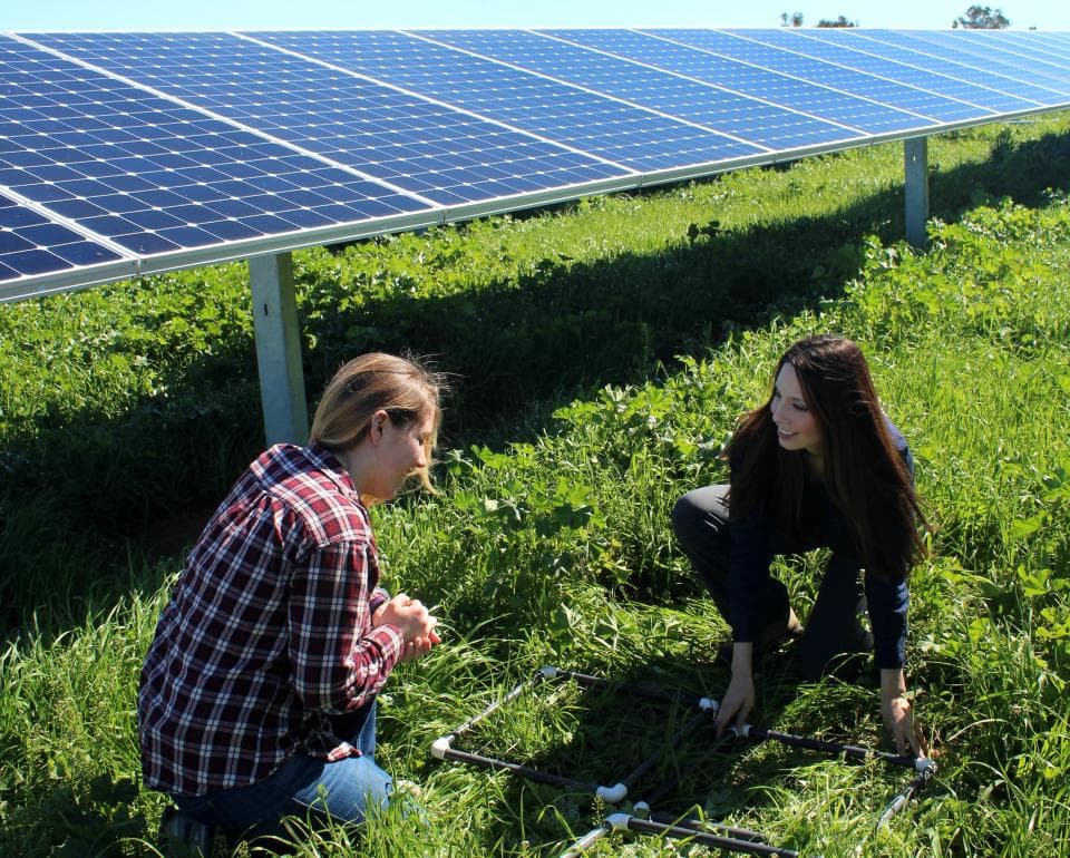 Siting Solar, Sparing Prime Agricultural Lands