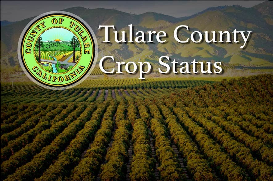 Tulare County Crop Report (Week Ending August 24, 2019)
