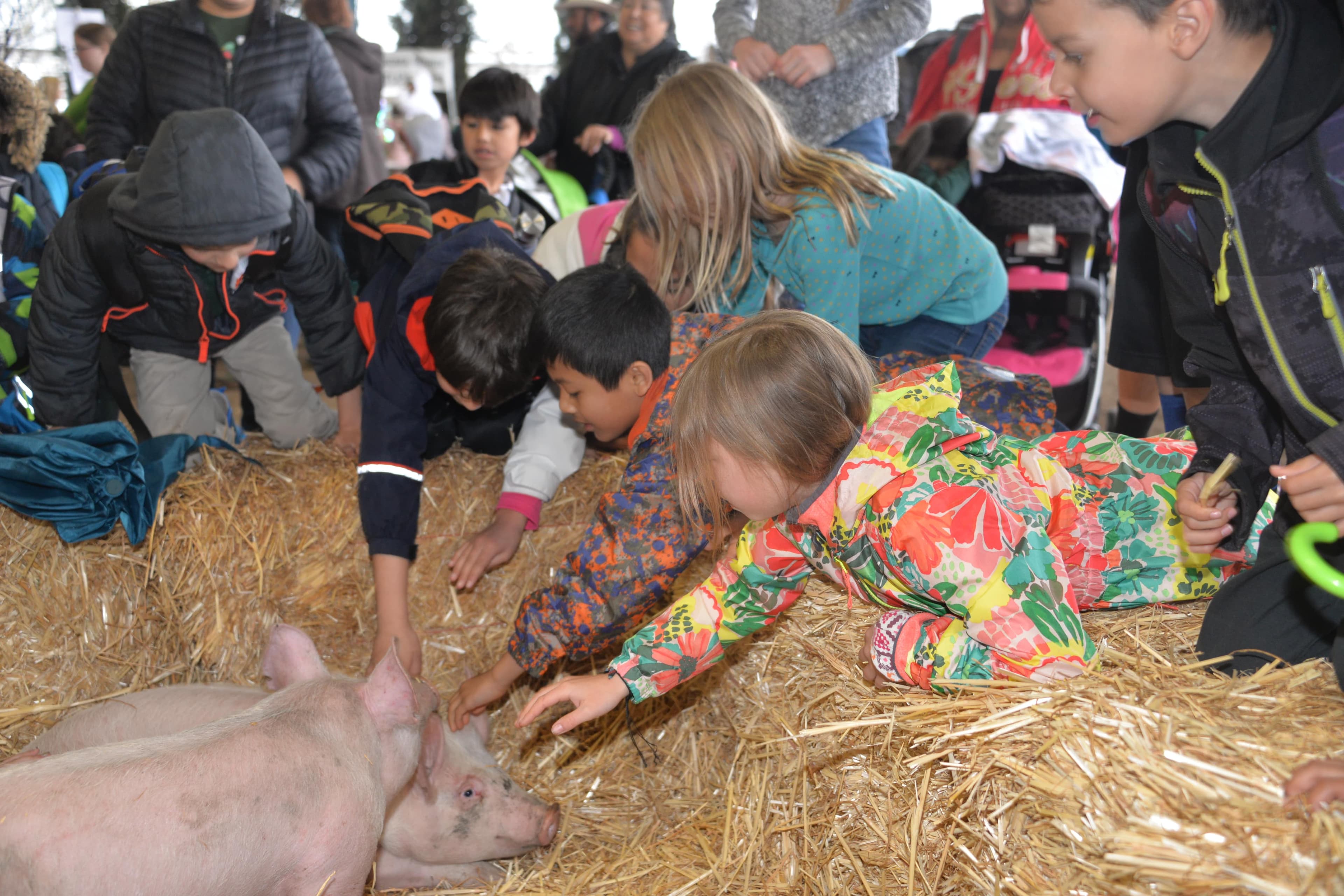 Sonoma County Ag Days Educates 5,000 Students About All Aspects of Agriculture