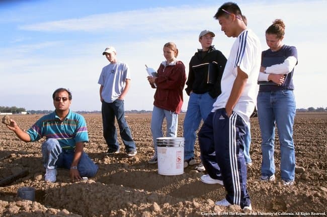 Three Agriculture Scholarships Offered by UC ANR