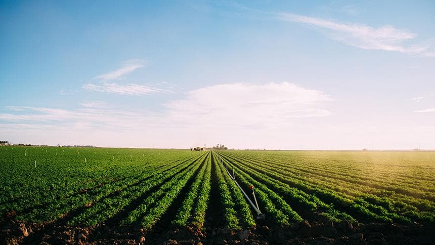 UC Davis World Food Center Relaunches