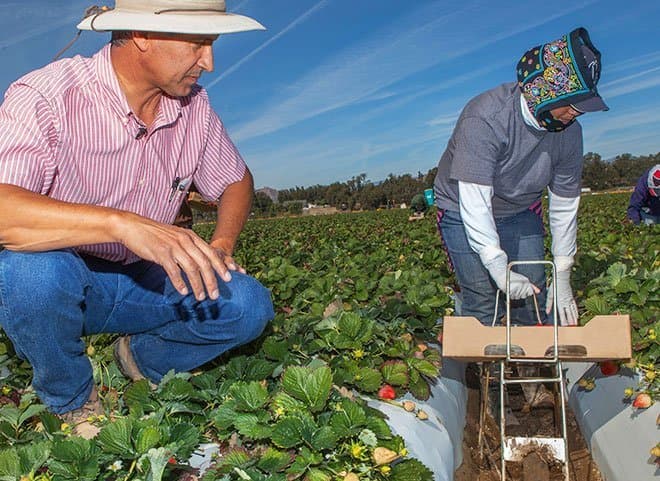 Produce Safety Program Launches Website