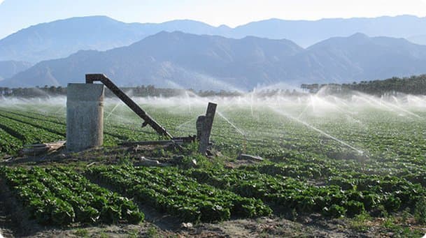 Westlands Water District Selects New General Counsel