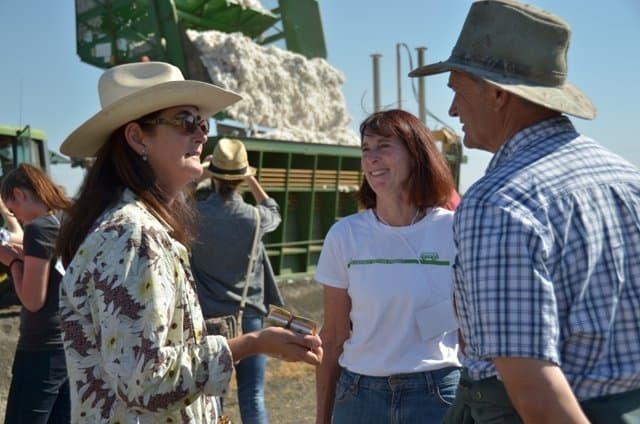 UC Experts Provide Update on Valley Cotton at Mendota Field Day