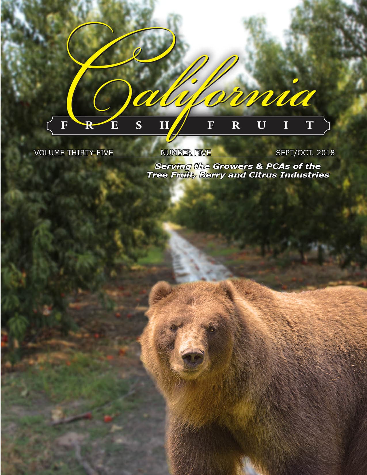 California Fresh Fruit Magazine – September/October Issue – Read It Here!