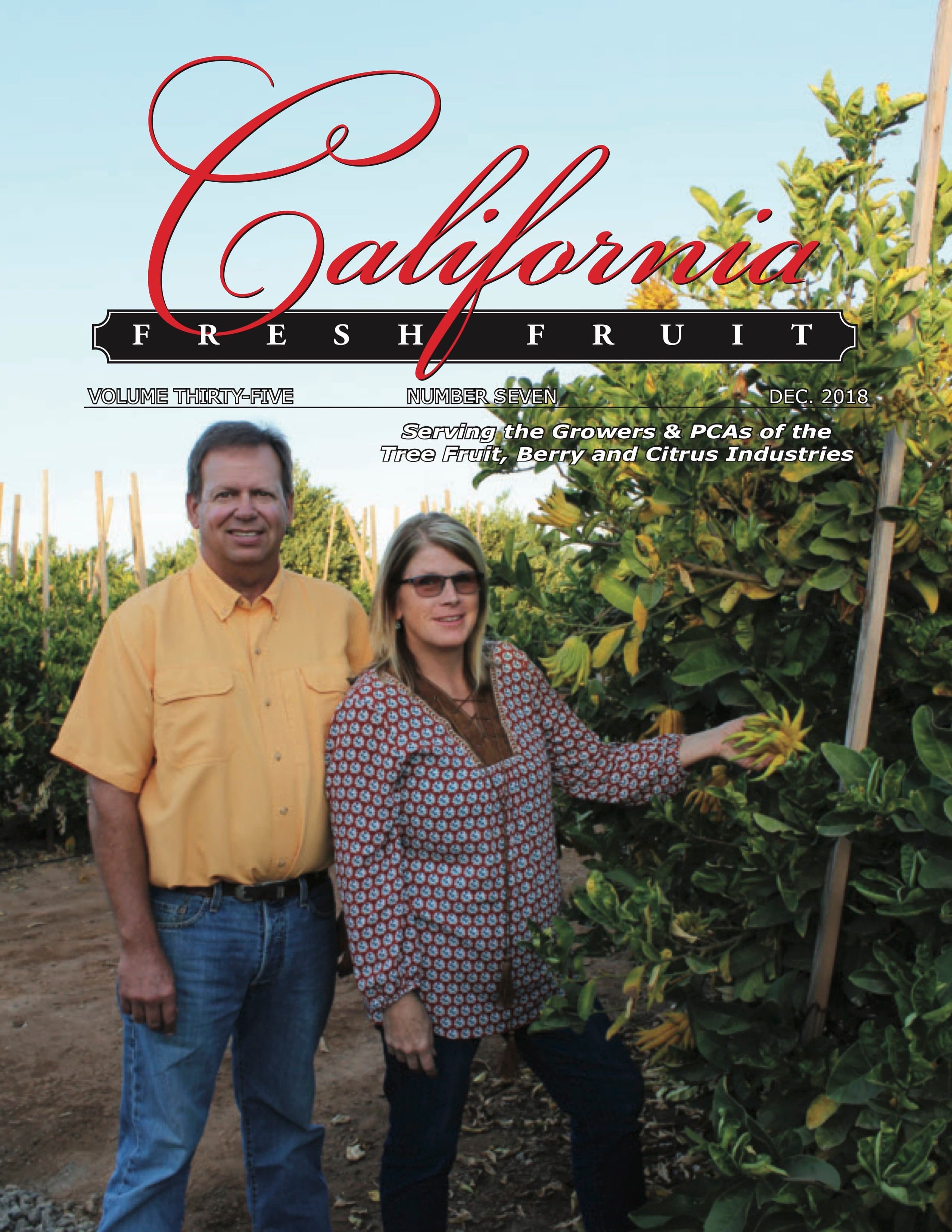 California Fresh Fruit Magazine – December Issue – Read It Here!