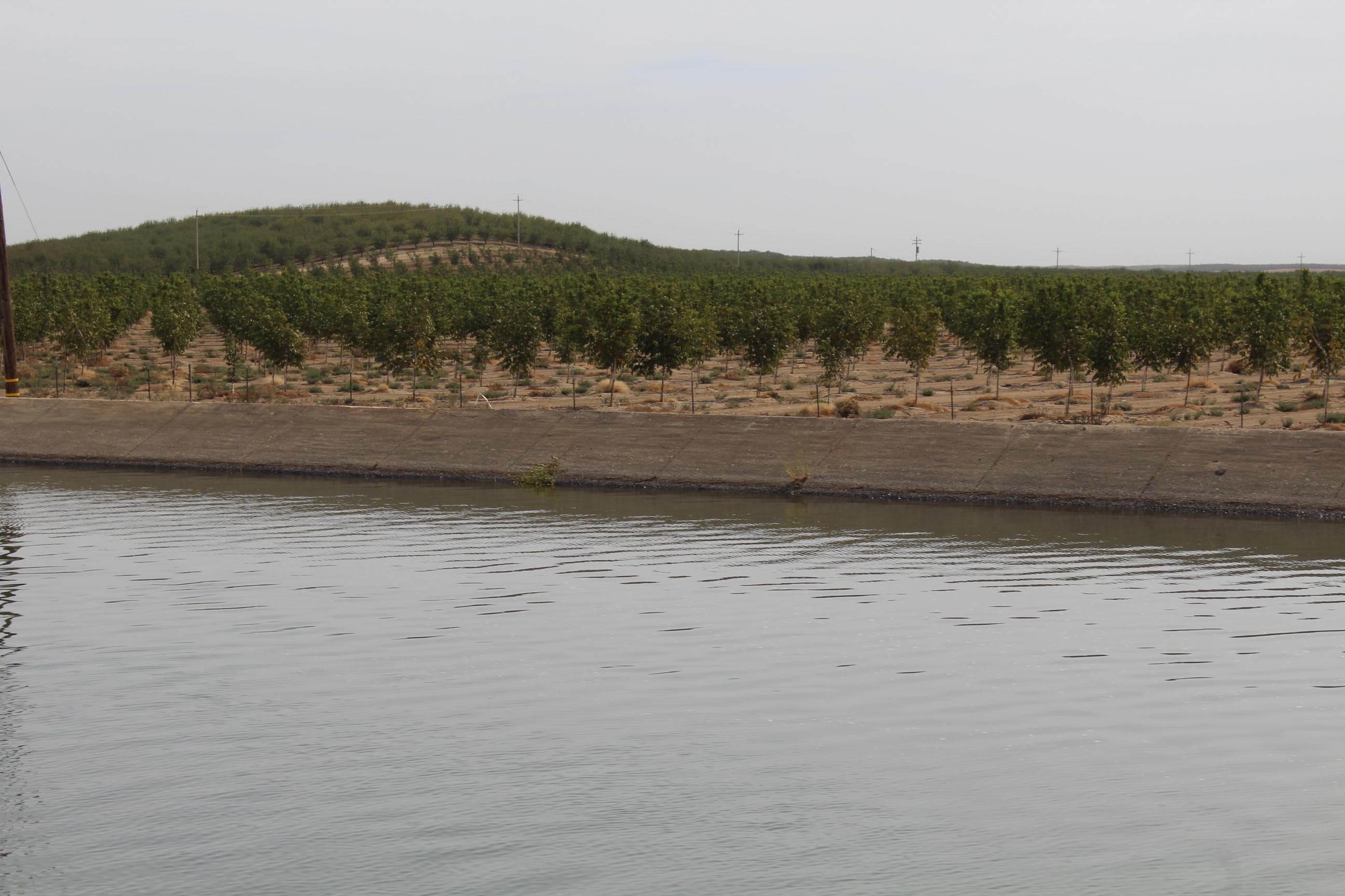Statement on Bureau of Reclamation’s Initial Water Supply Allocation