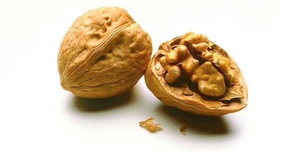 Deciphering the Walnut Genome
