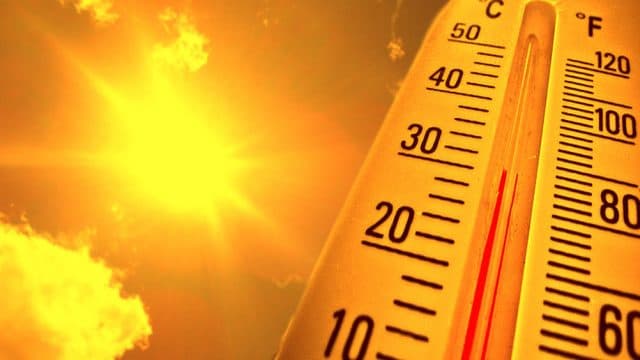 Agricultural organizations hold heat illnesses prevention training sessions in Easton, California