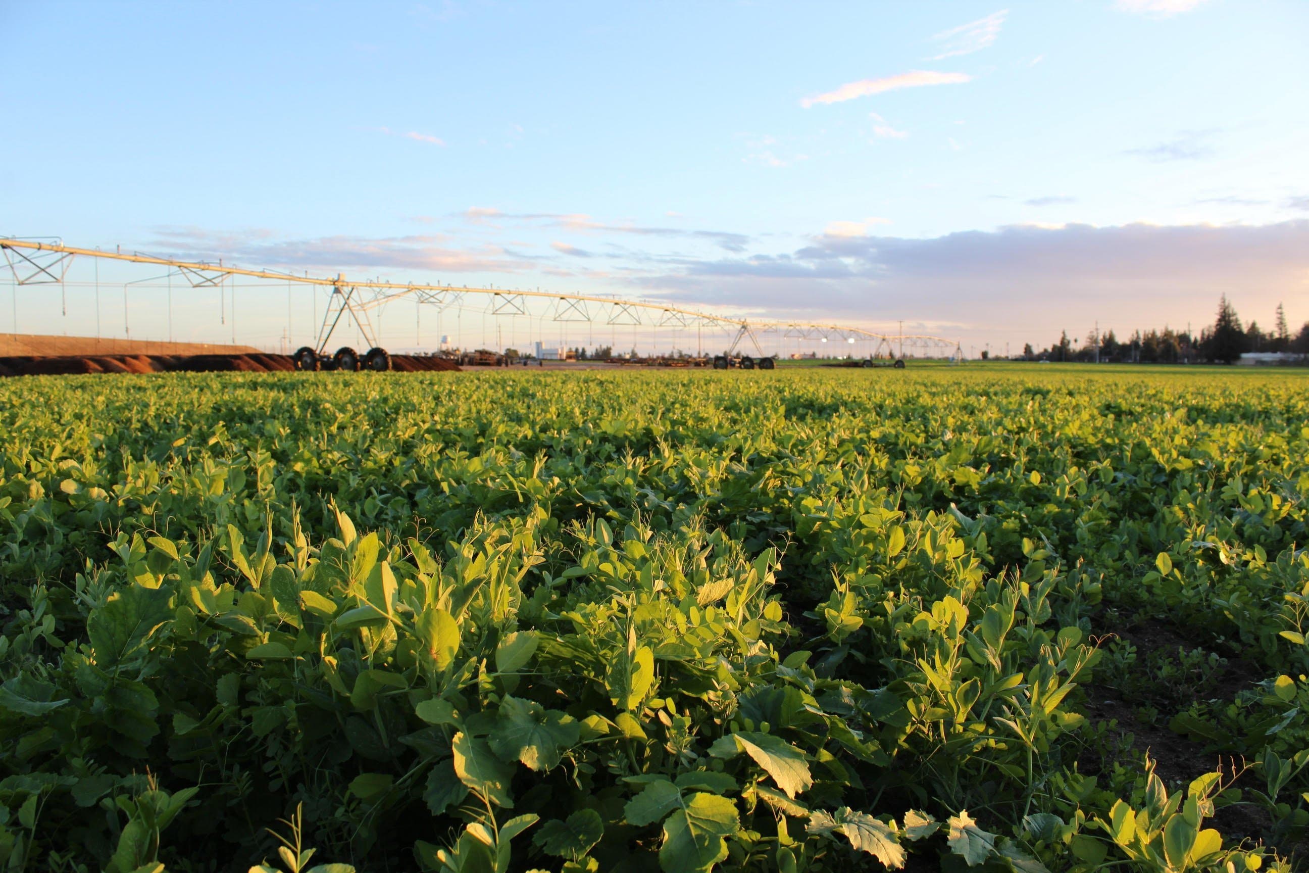 American Farmland Trust Awarded Western Region Sustainable Agriculture Research and Education Grant
