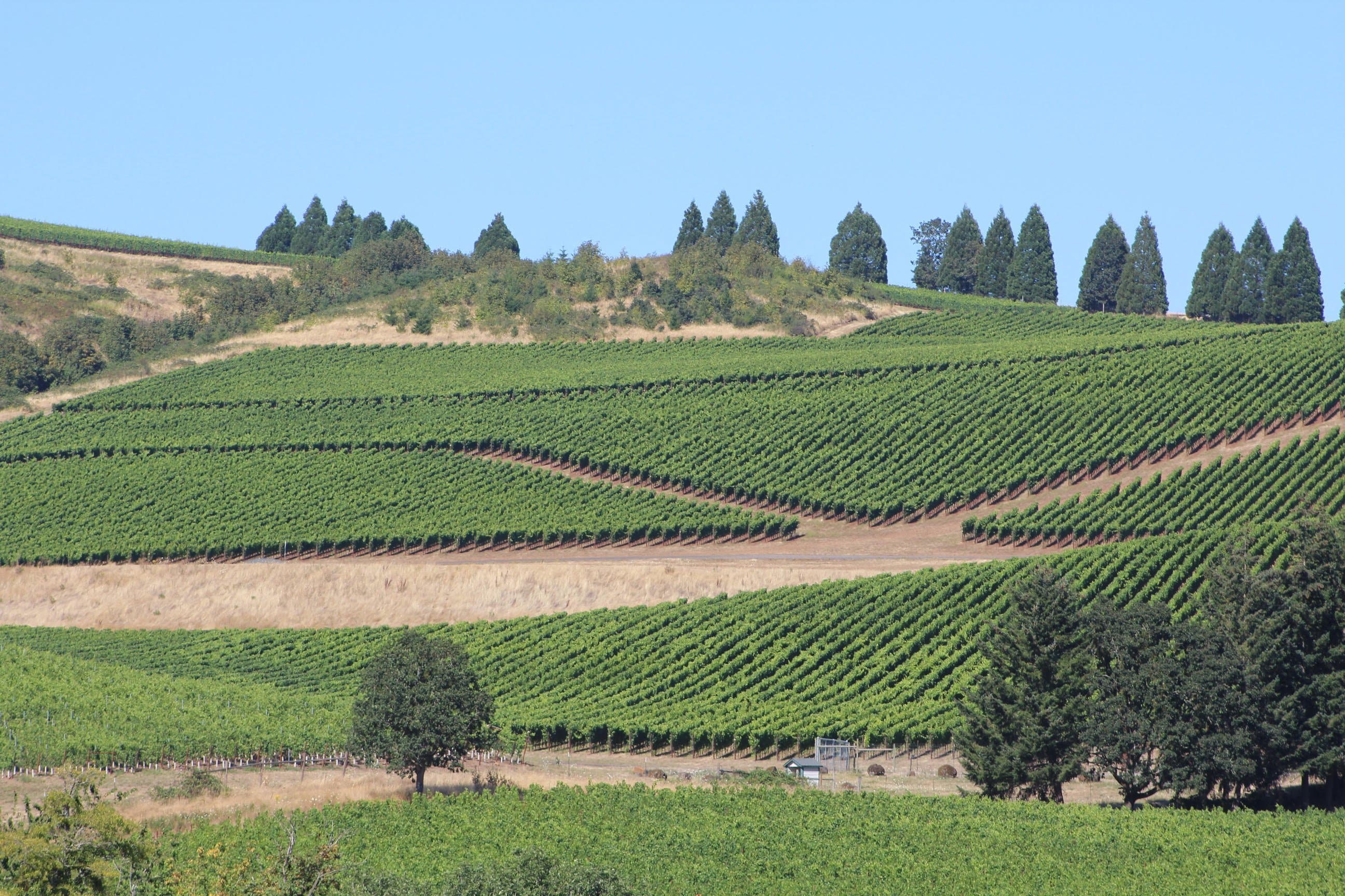 Leading Farm, Conservation, and Wildlife Groups Unite to Protect Conservation Funding