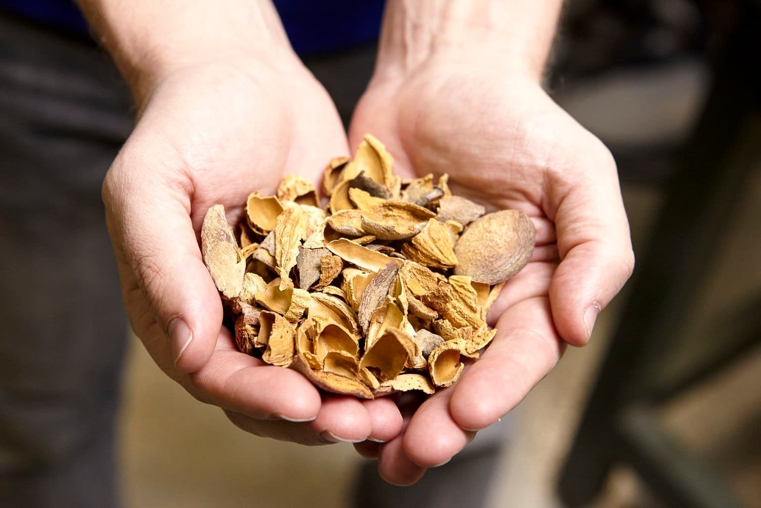 Almond Board of CA Explores Options for Exporting Almond Biomass