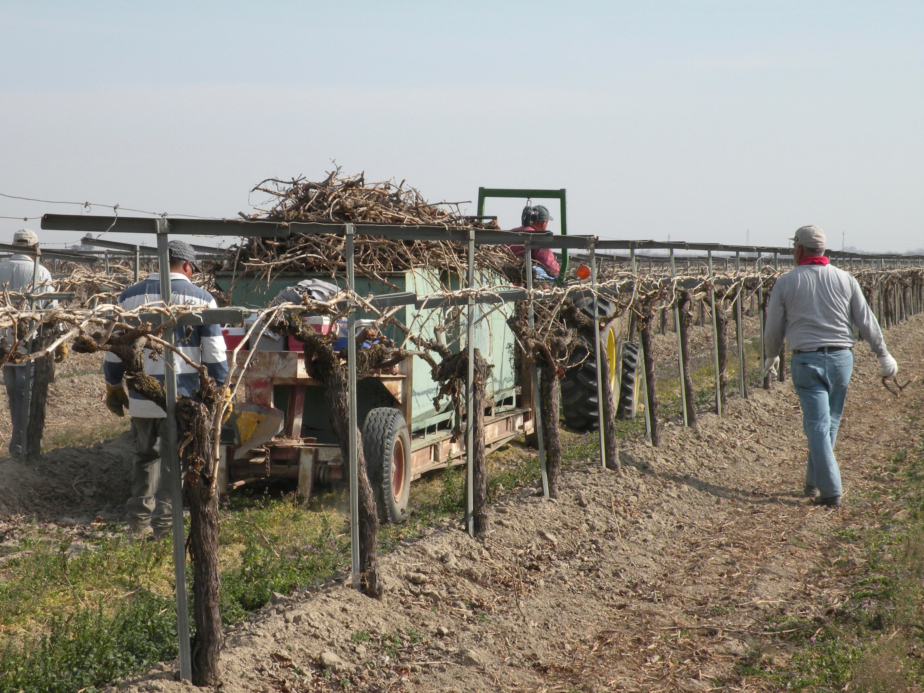 California Farmers Have Raised Wages, But Still Unable to Find Enough Workers