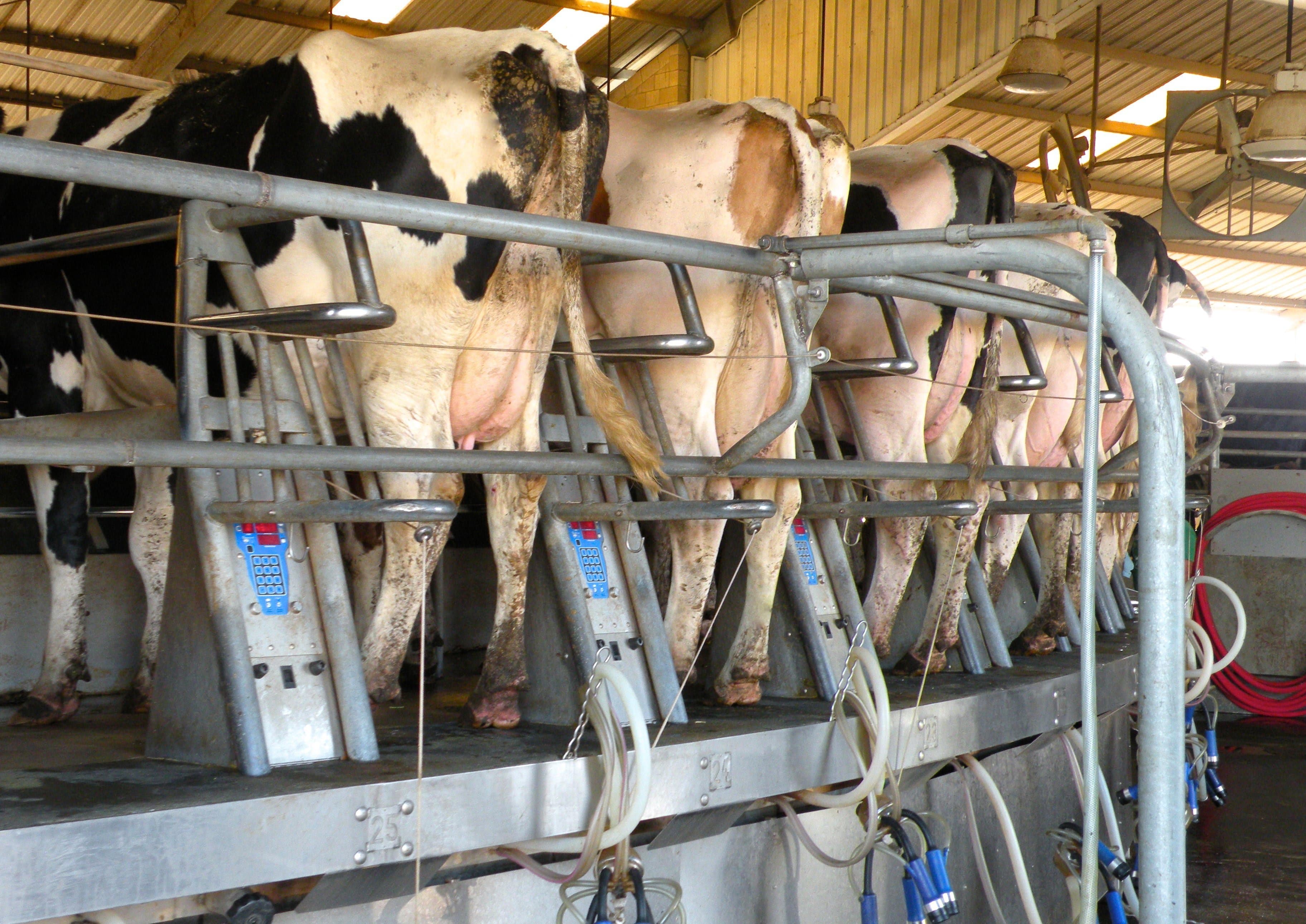 USDA Announces New Decision Tool for New Dairy Margin Coverage Program