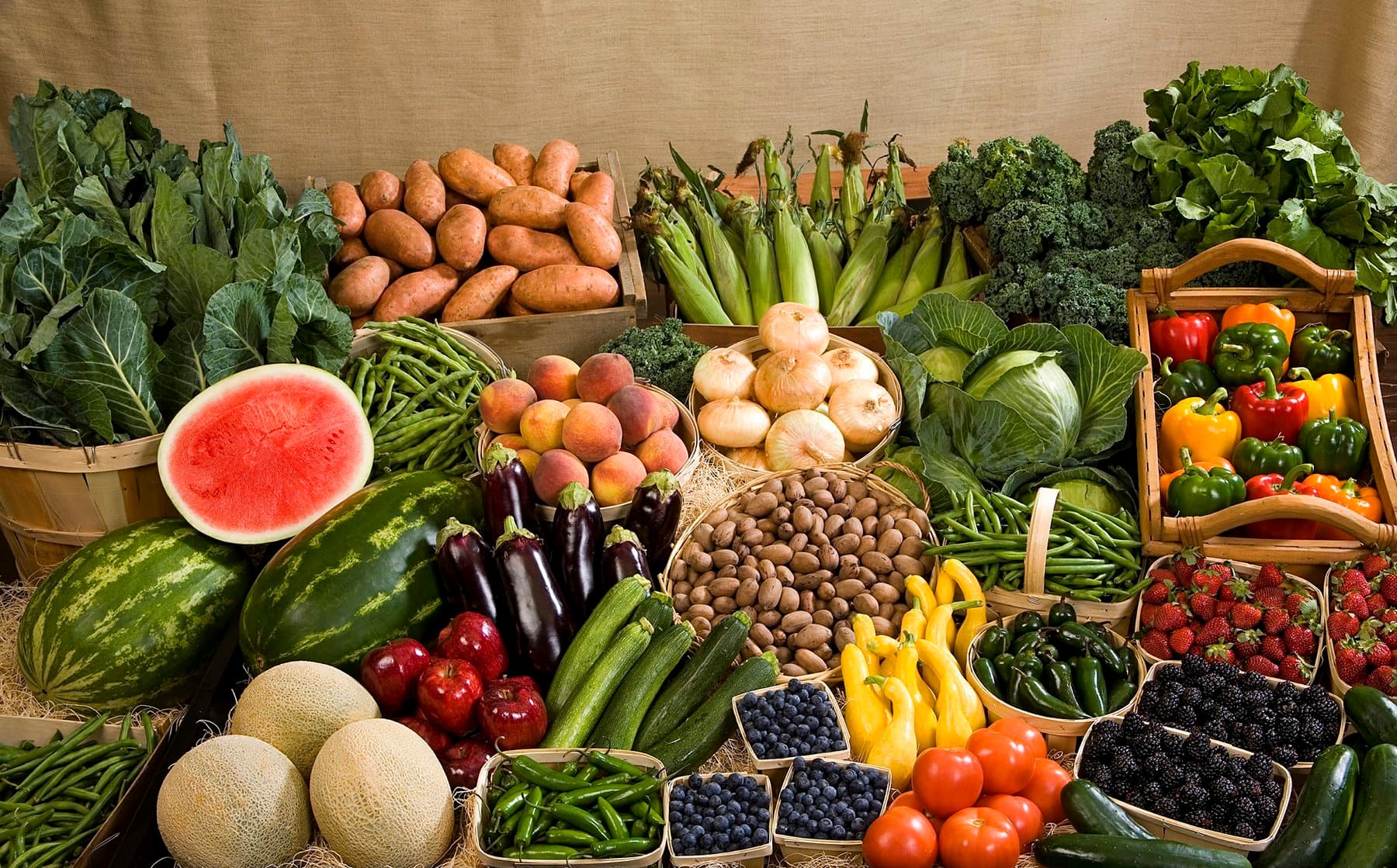 Video Series on Vegetable Production of the Future