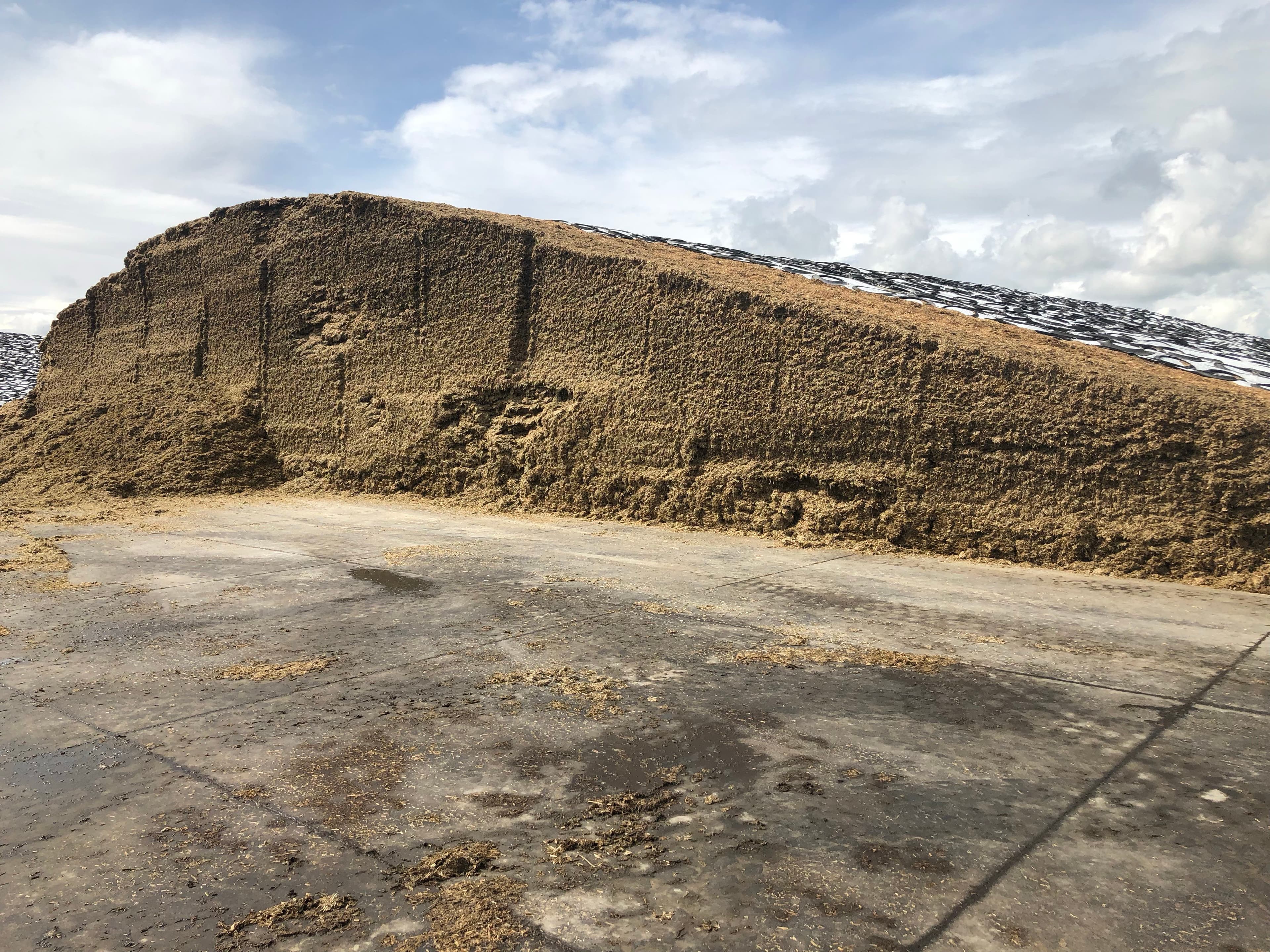 What’s New in Silage Science?
