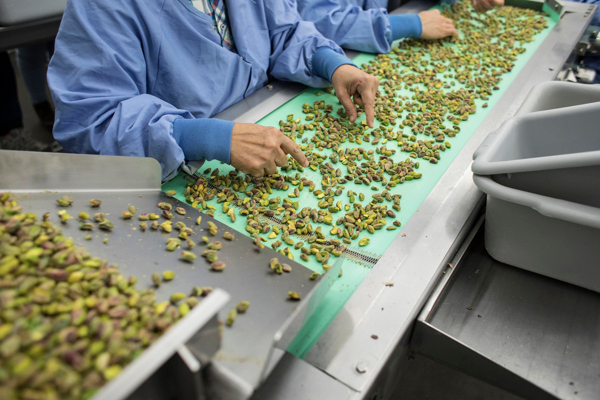 US Pistachio Shipments Remain Strong Despite Increased Tariffs