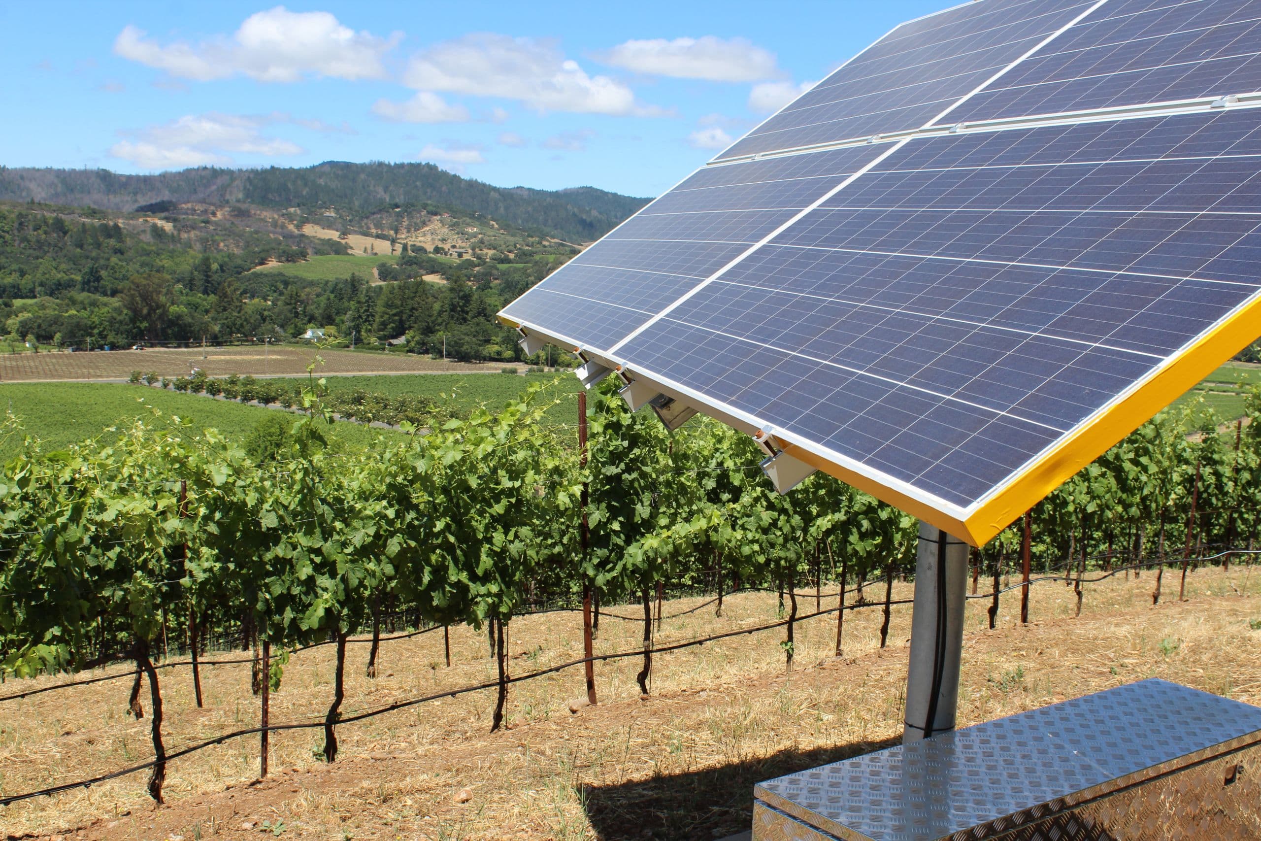 California Ups the Ante on Sustainable Vineyard & Wine Production