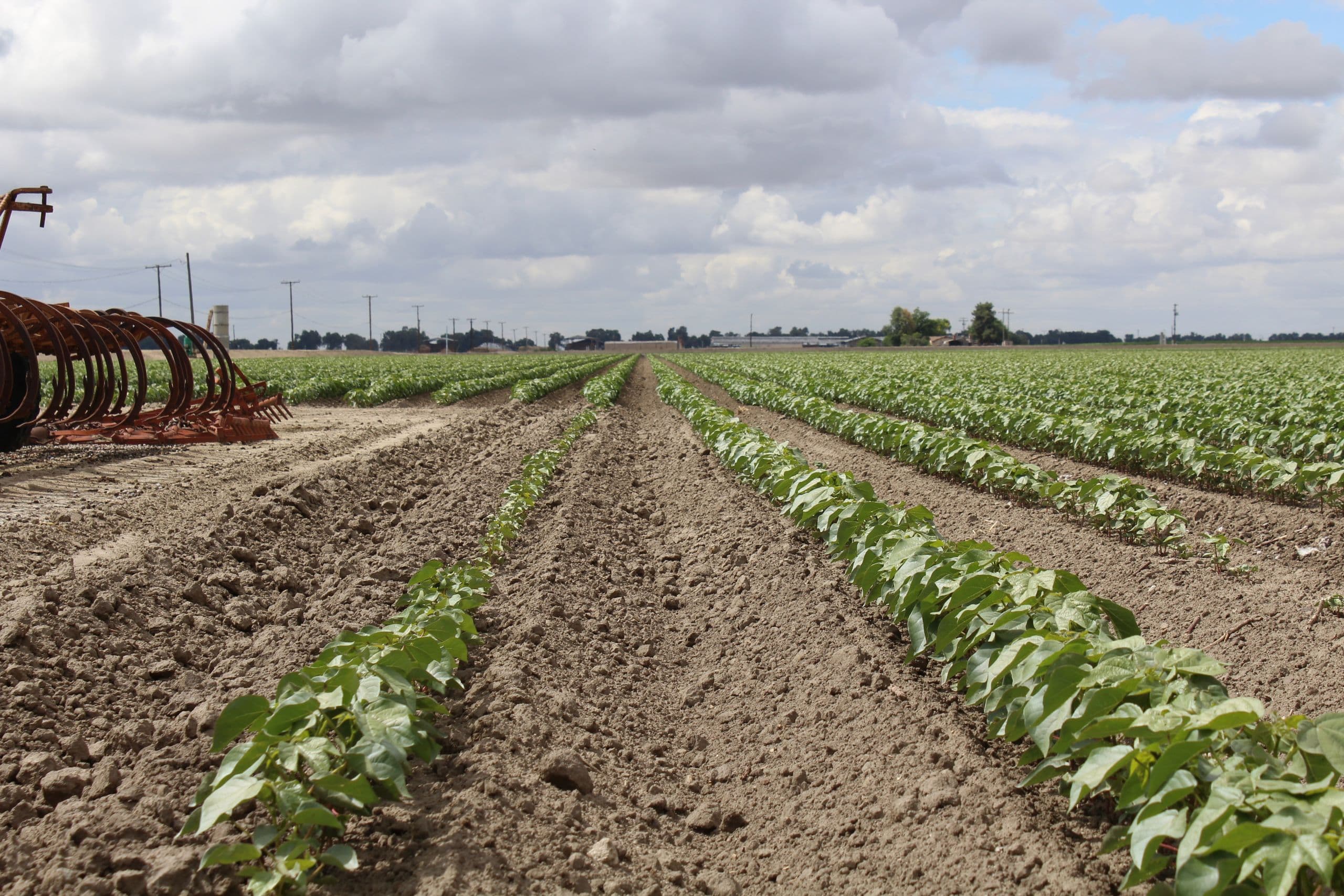 USDA-APHIS Impact Report: Protecting 900 Million Acres of Farmland