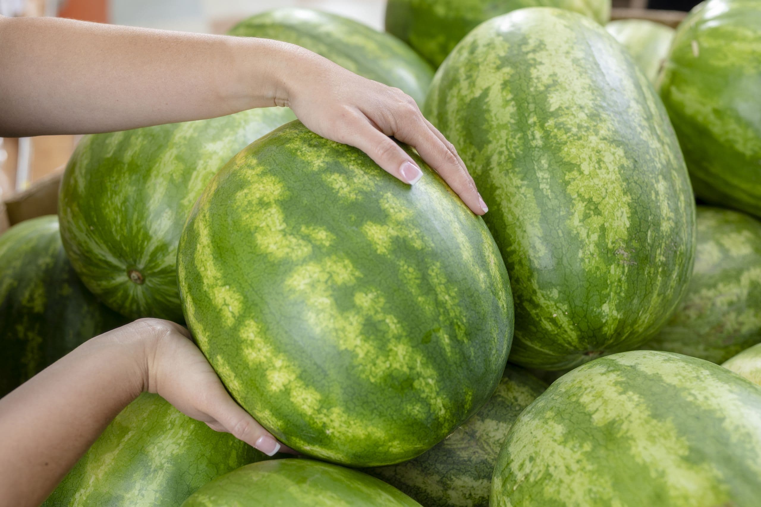 Connecting the Watermelon Industry with Retail and Foodservice Buyers