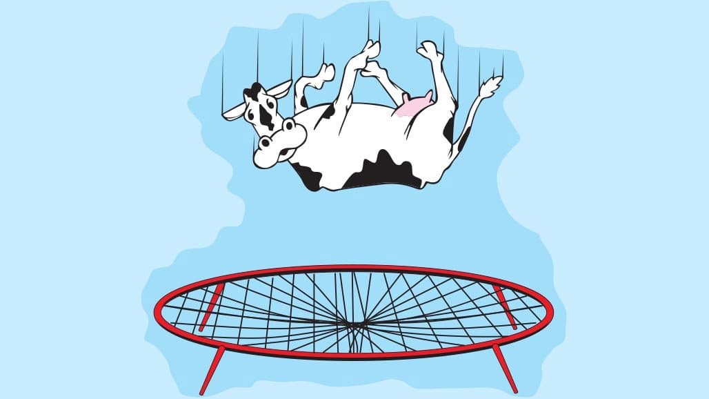 USDA Dairy Safety-Net Program Signup to Begin October 12