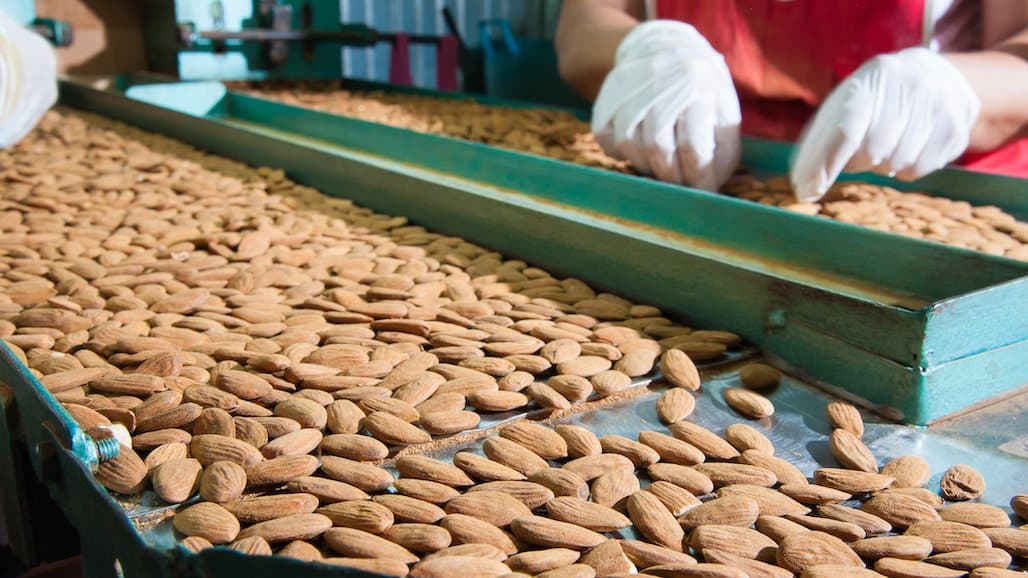 Resources for Employers Amidst COVID-19 Outbreaks at Ag Facilities