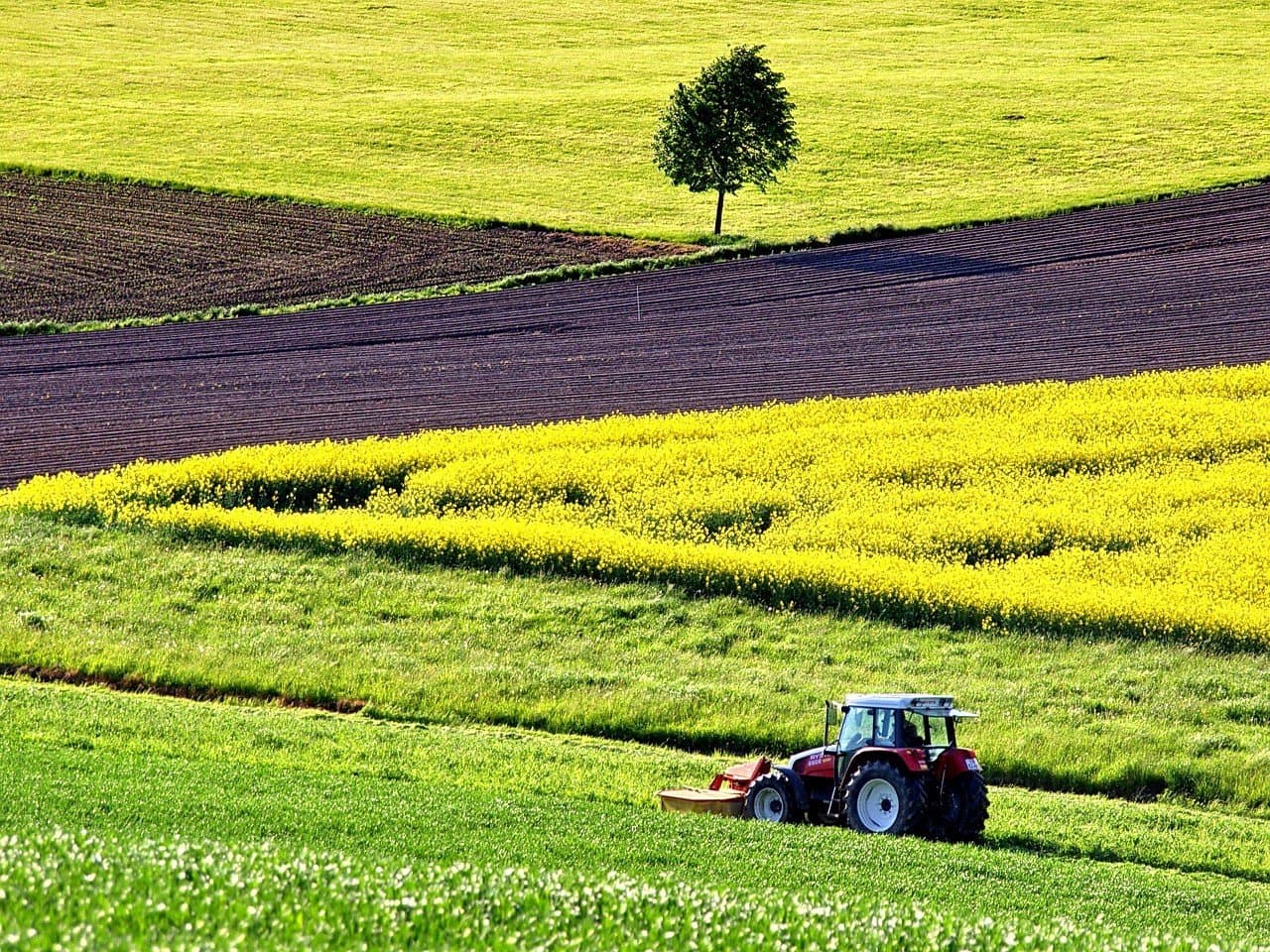 UCR Wins $10 Million to Develop AI for Sustainable Ag