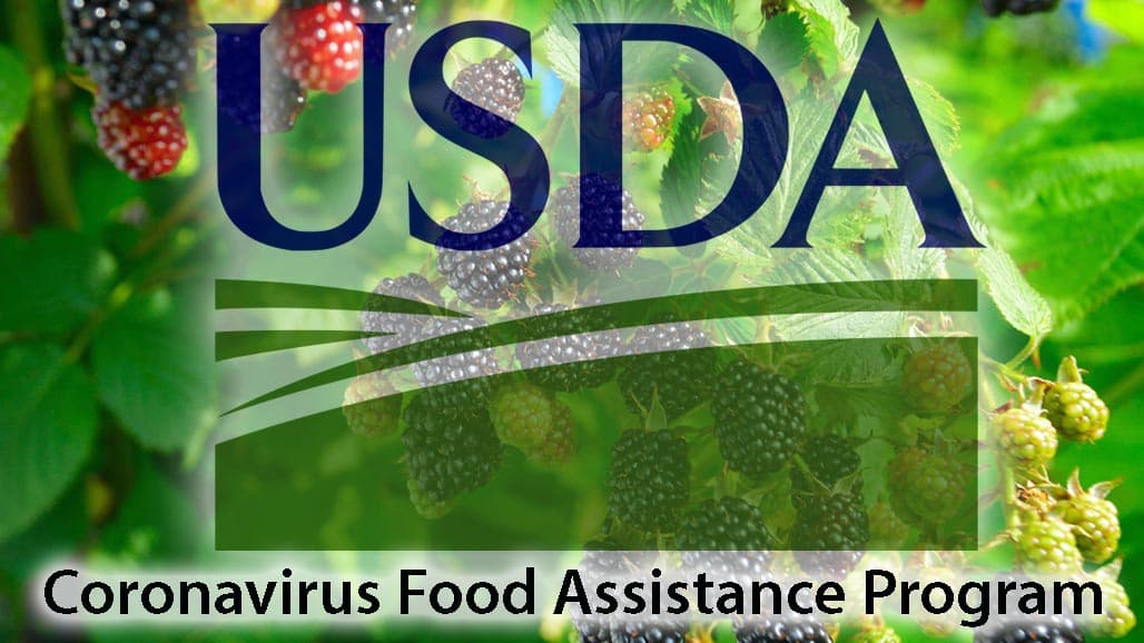 More Eligible Commodities for USDA Coronavirus Aid