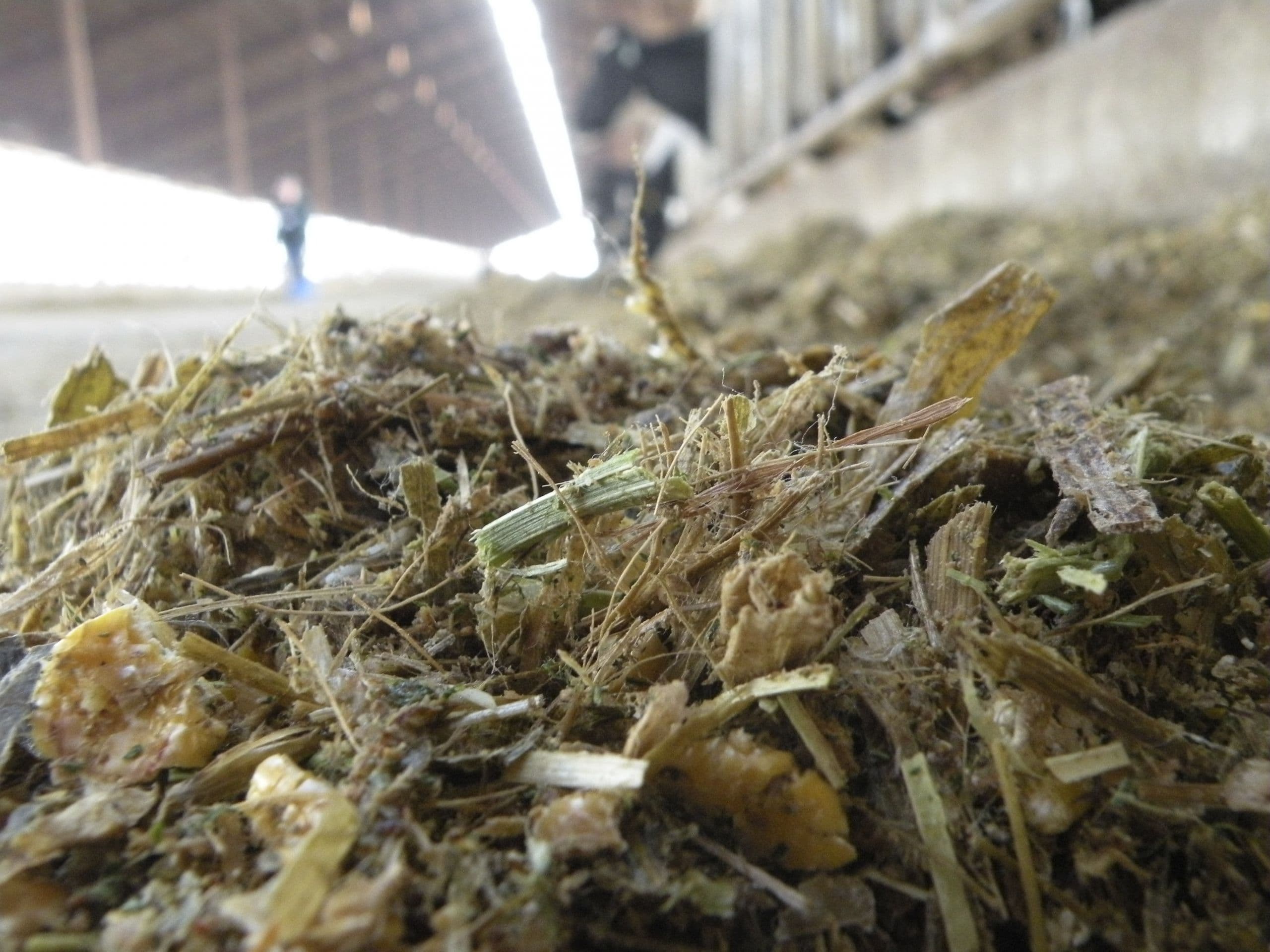 Improved Method to Test for Mycotoxin in Feed