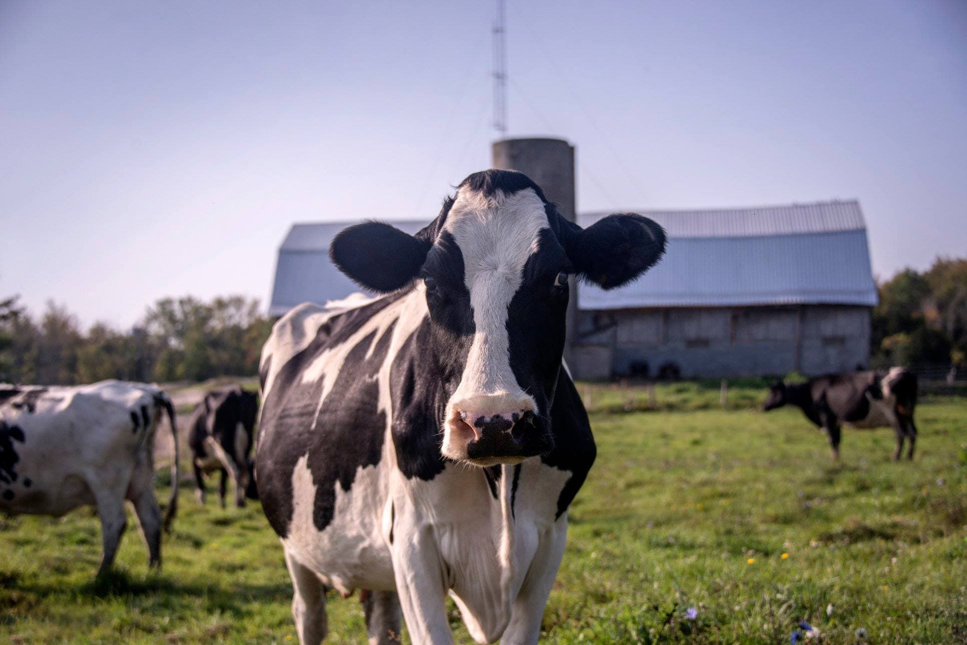FARM Program Recognized Again for International Quality Certification