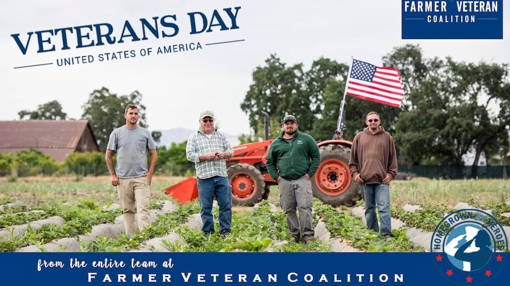Honoring Veterans Every Day at Farmer Veteran Coalition