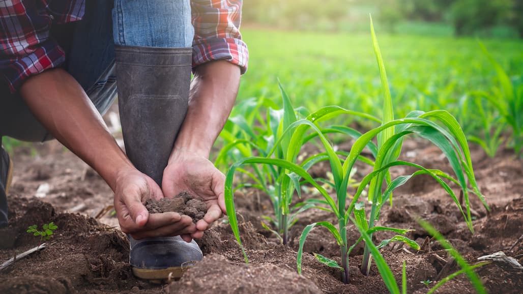 “We Believe in Growing” Scholarship Applications Available