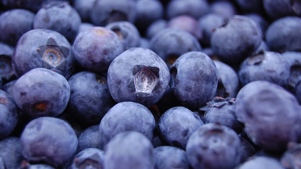ITC Deems Foreign Imported Blueberries Not a Threat to Domestic Production