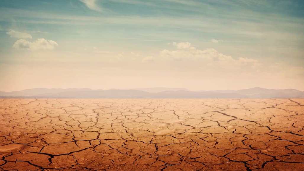What Can the 2015 Drought Tell us about the Impacts of a Drought in 2021?