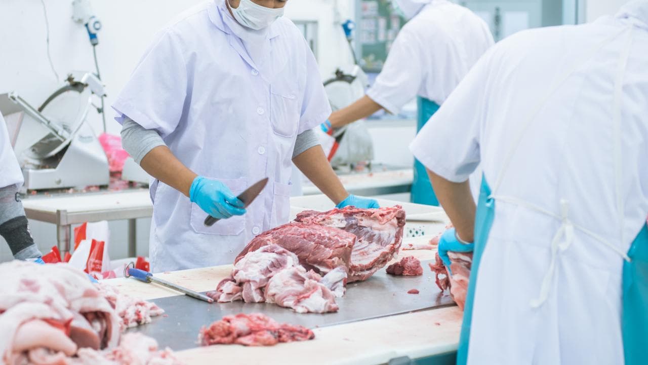 Meatpacking Plants Increased COVID-19 Cases in US Counties