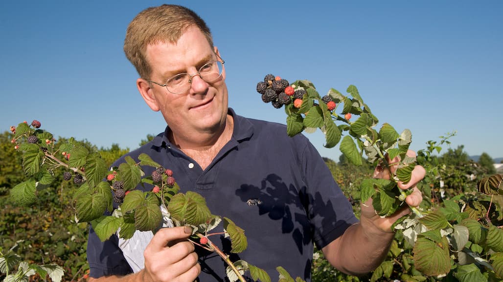 Water & Small Fruit Scientists Named to ARS Hall of Fame