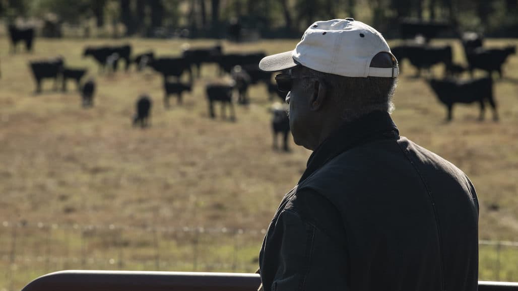 Farm Dept Relief Now Available for BIPOC Producers