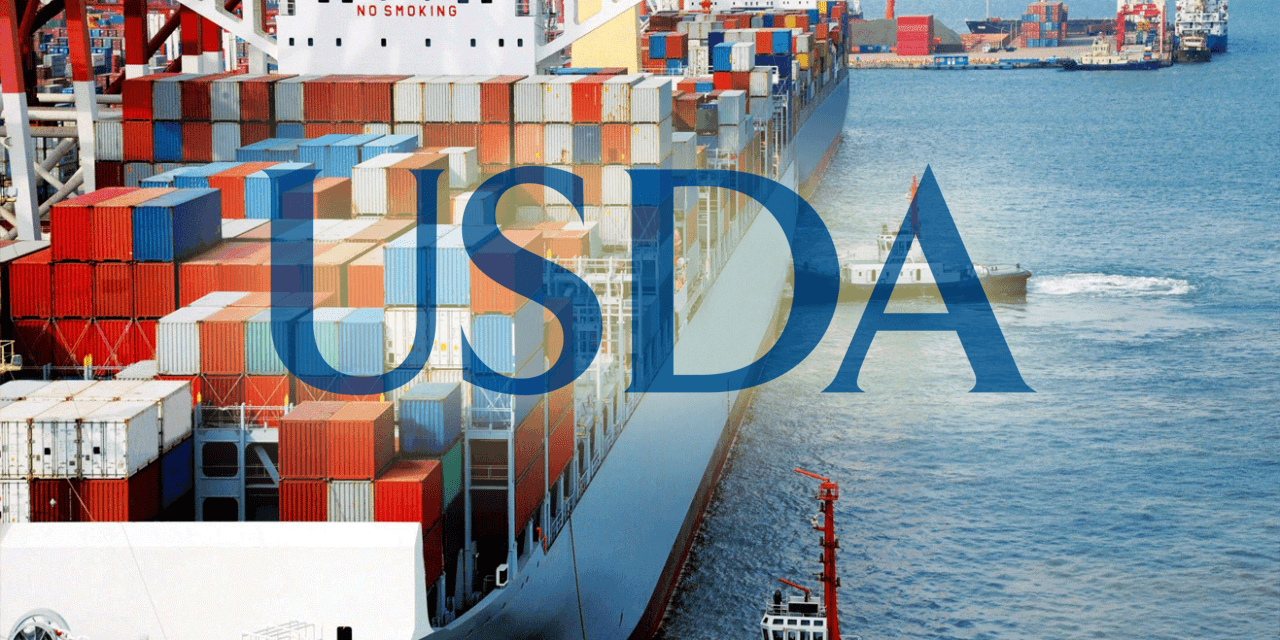 Early Months Suggest Bright 2021 for US Ag Exports