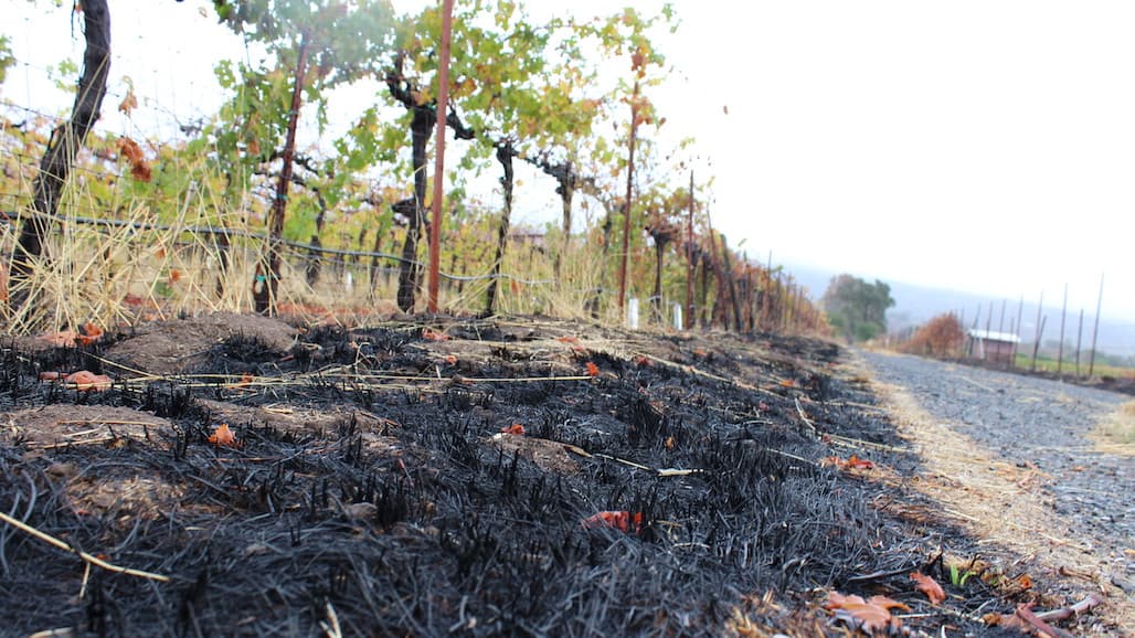 How Can We Mitigate Wildfires?