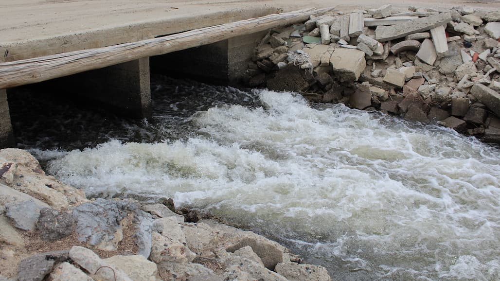 New Opportunities for Trading Surface Water in the Sacramento Valley under SGMA